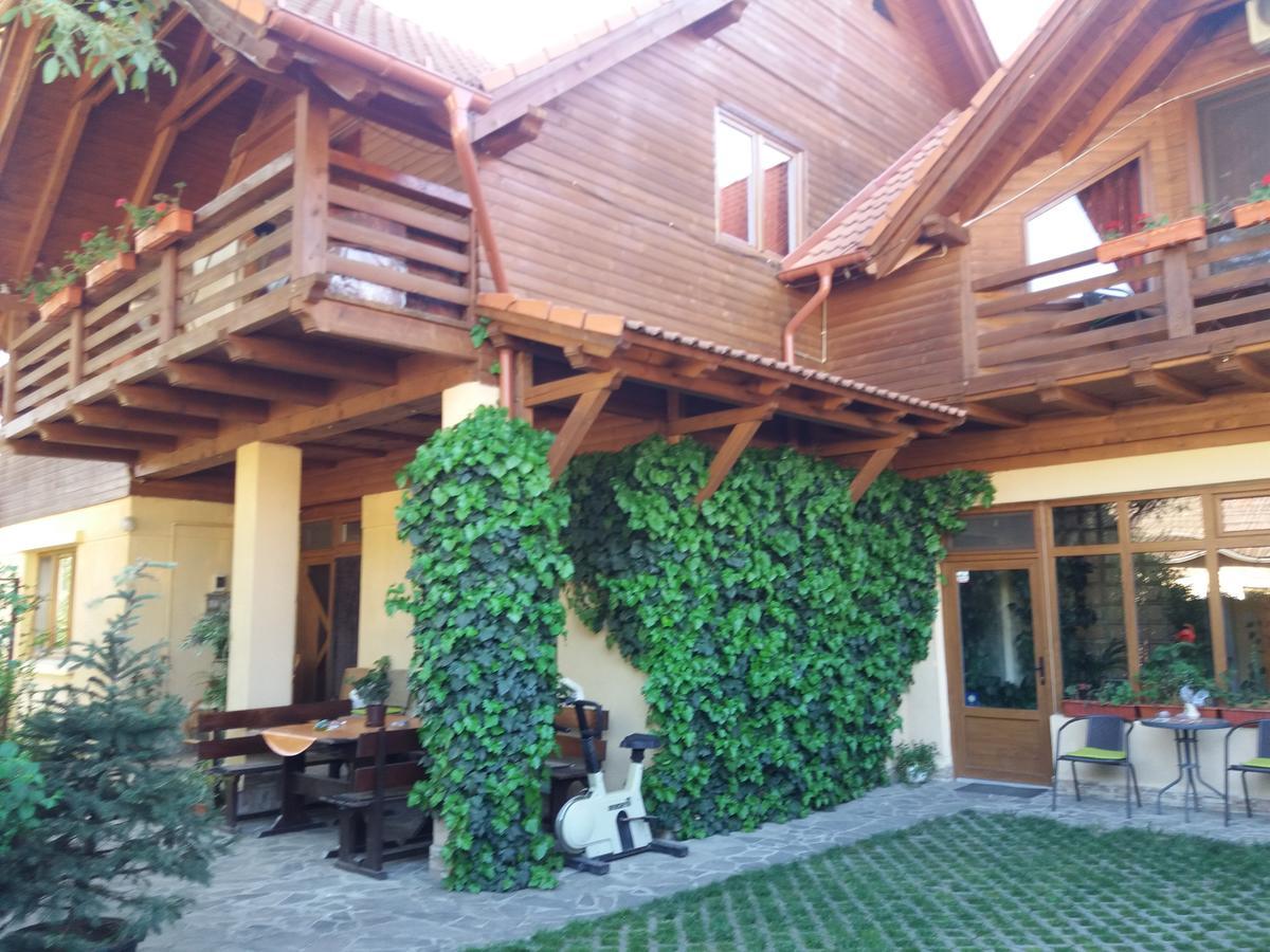 Appartement Pasager House à Sovata Extérieur photo
