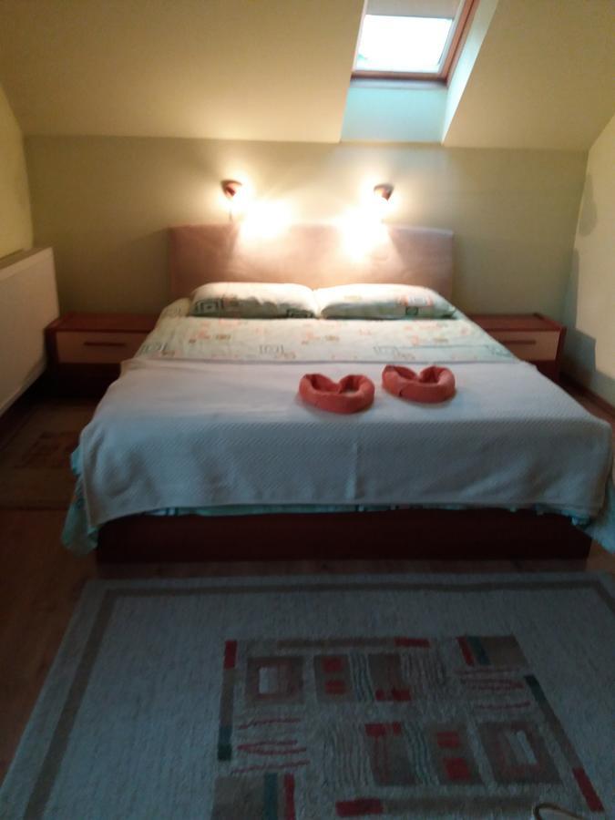 Appartement Pasager House à Sovata Extérieur photo